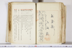 明い016020090258.jpg