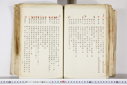 明い016020090259.jpg