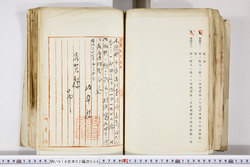 明い016020090260.jpg