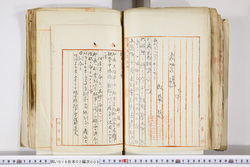 明い016020090261.jpg