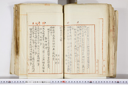 明い016020090262.jpg