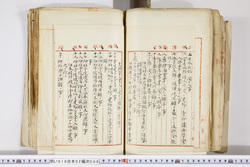 明い016020090263.jpg