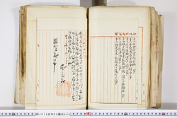 明い016020090264.jpg