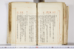 明い016020090266.jpg
