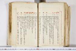 明い016020090267.jpg