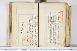 明い016020090268.jpg