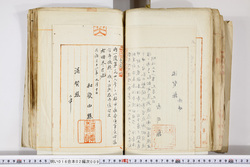 明い016020090269.jpg