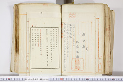 明い016020090270.jpg