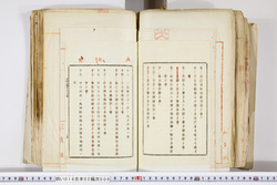 明い016020090271.jpg