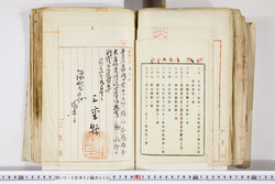 明い016020090272.jpg