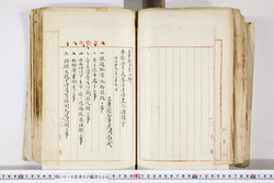 明い016020090273.jpg