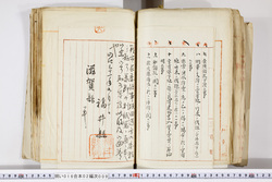 明い016020090274.jpg