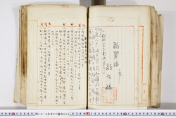 明い016020090275.jpg