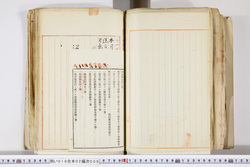 明い016020090278.jpg