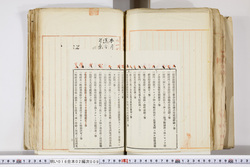 明い016020090279.jpg