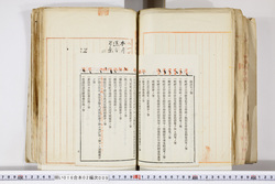 明い016020090280.jpg