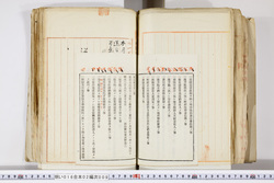 明い016020090281.jpg