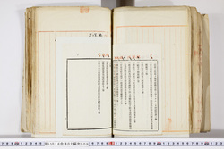 明い016020090282.jpg