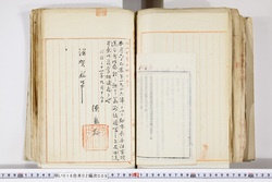 明い016020090283.jpg