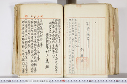 明い016020090284.jpg