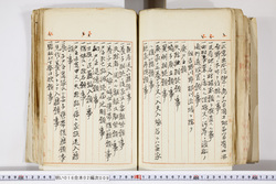 明い016020090285.jpg