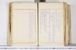 明い016020090288.jpg