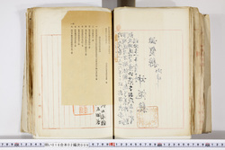 明い016020090290.jpg