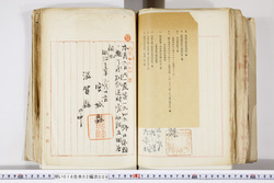 明い016020090291.jpg