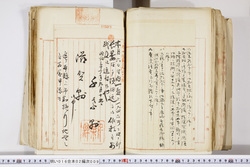 明い016020090293.jpg