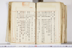 明い016020090295.jpg
