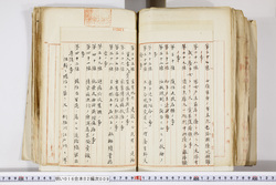明い016020090296.jpg