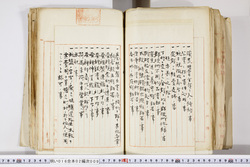 明い016020090299.jpg