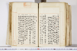 明い016020090300.jpg