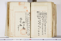 明い016020090301.jpg