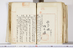 明い016020090302.jpg