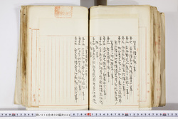 明い016020090303.jpg