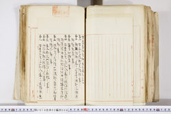 明い016020090304.jpg