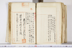 明い016020090305.jpg
