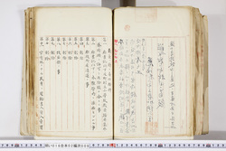 明い016020090306.jpg