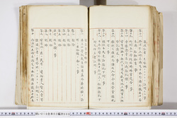 明い016020090307.jpg
