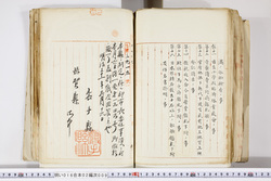 明い016020090308.jpg