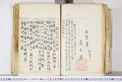 明い016020090309.jpg