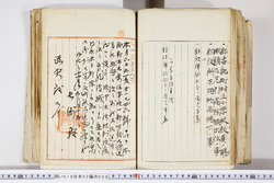 明い016020090310.jpg