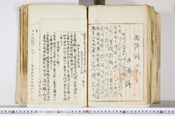 明い016020090311.jpg