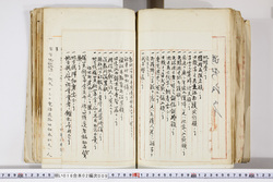 明い016020090312.jpg