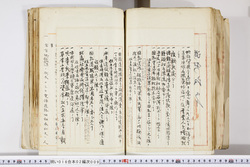 明い016020090313.jpg
