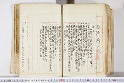 明い016020090314.jpg