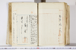 明い016020090315.jpg