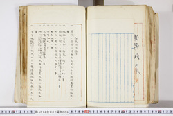 明い016020090316.jpg