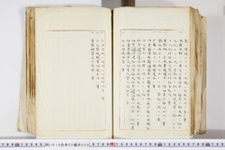 明い016020090317.jpg